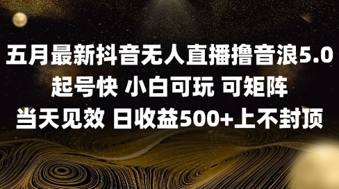 2025五月最新无人直播撸音浪单日产出5张+实操教程【揭秘】-彼飞网创