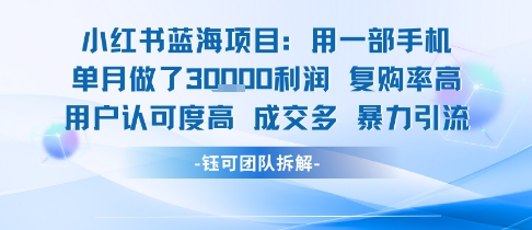 小红书蓝海项目，一部手机单月做了3W利润，小白也能月入过1W用户认可度高成交多-彼飞网创