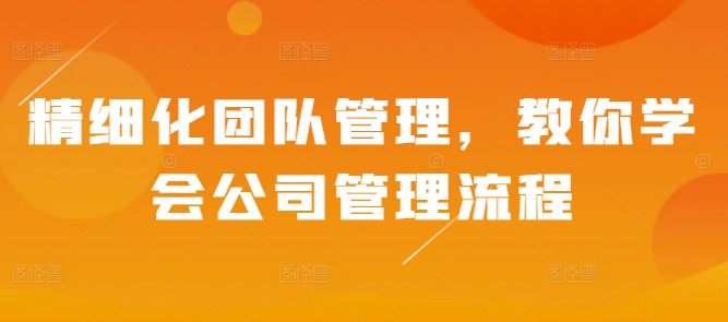精细化团队管理，教你学会公司管理流程-彼飞网创