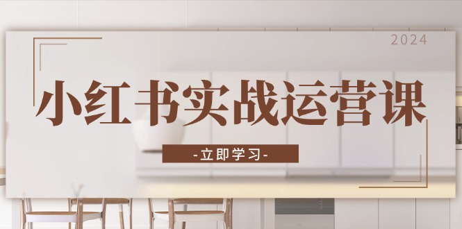 小红书实战运营课：从开通店铺到直播话术，打造爆款笔记与高效直播-彼飞网创