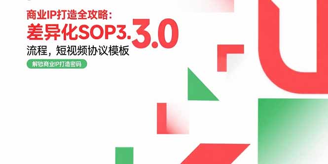 商业IP打造全攻略：差异化SOP3.0流程，短视频协议模板，婚恋项目实战案例-彼飞网创