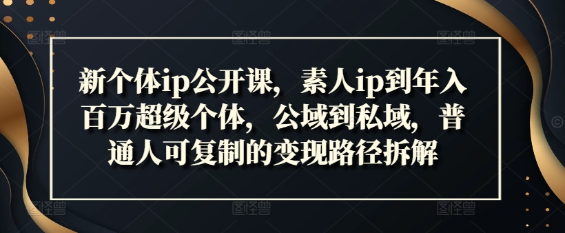 新个体ip公开课，素人ip到年入百万超级个体，公域到私域，普通人可复制的变现路径拆解-彼飞网创