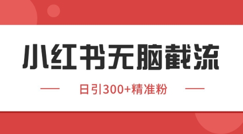 小红书截流同行客源，独家野路子获客玩法 日引200+暴力获客【揭秘】-彼飞网创
