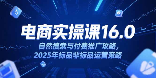 淘宝电商运营课16.0，自然搜索与付费推广攻略，2025年标品非标品运营策略-彼飞网创