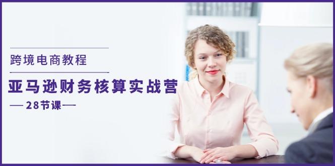 跨境电商教程：亚马逊-财务核算实战营(28节课-彼飞网创