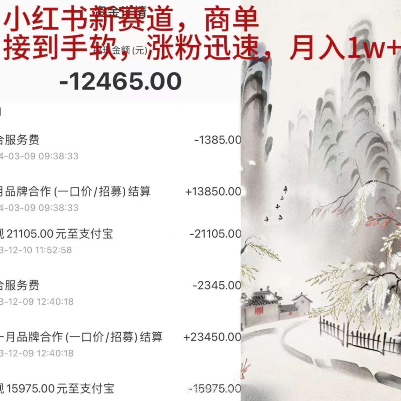 (9476期)小红书新赛道，商单接到手软，涨粉迅速，月入1w+-彼飞网创