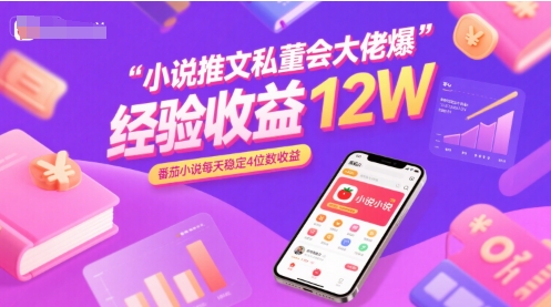 小说推文私董会大佬爆单经验分享收益12W，番茄小说每天稳定4位数收益-彼飞网创