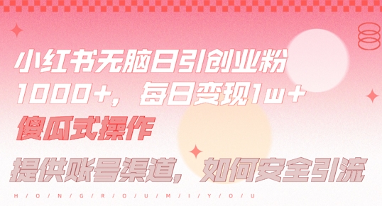 小红书无脑每日引流创业粉500+，小白每天只花半小时，躺赚长尾收益【揭秘】-彼飞网创