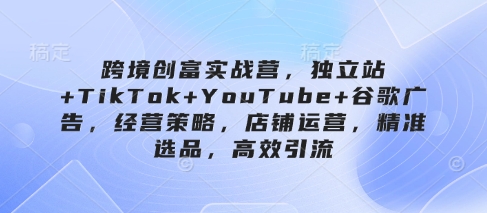 跨境创富实战营，独立站+TikTok+YouTube+谷歌广告，经营策略，店铺运营，精准选品，高效引流-彼飞网创
