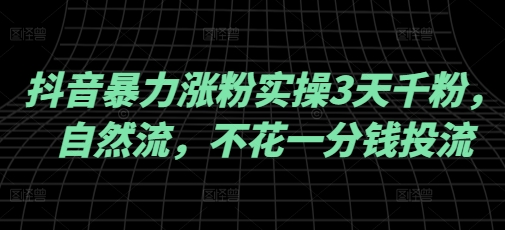 抖音暴力涨粉实操3天千粉，自然流，不花一分钱投流，实操经验分享-彼飞网创