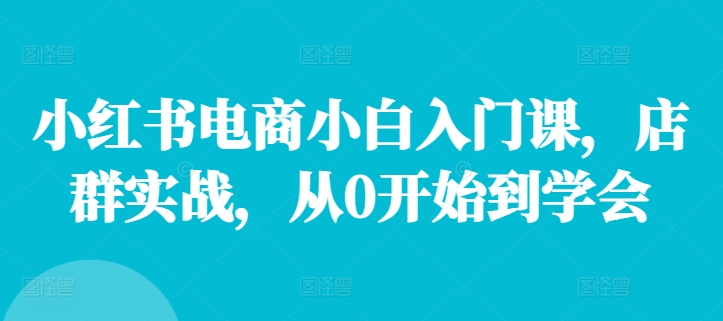 小红书电商小白入门课，店群实战，从0开始到学会-彼飞网创