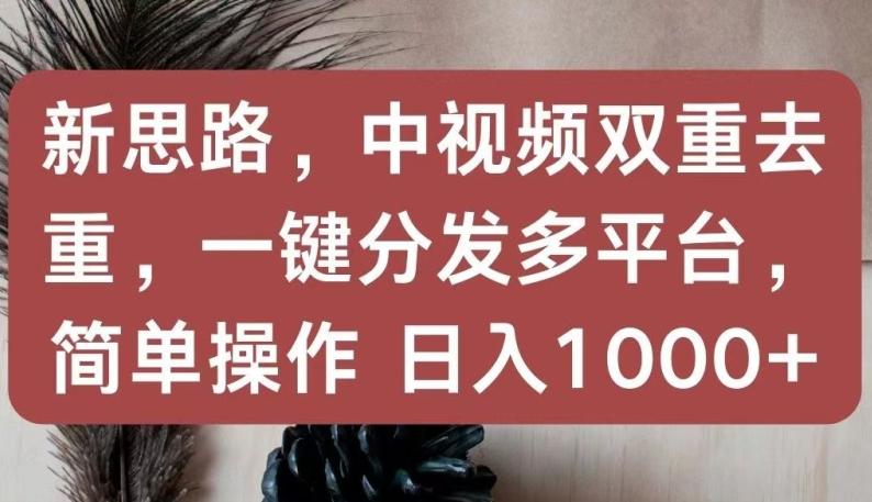 新思路，中视频双重去重，一键分发多平台，简单操作，日入1000+【揭秘】-彼飞网创