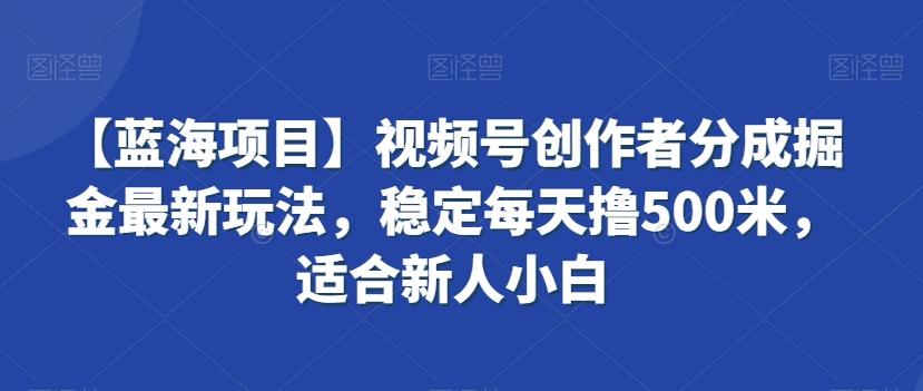 【蓝海项目】视频号创作者分成掘金最新玩法，稳定每天撸500米，适合新人小白【揭秘】-彼飞网创