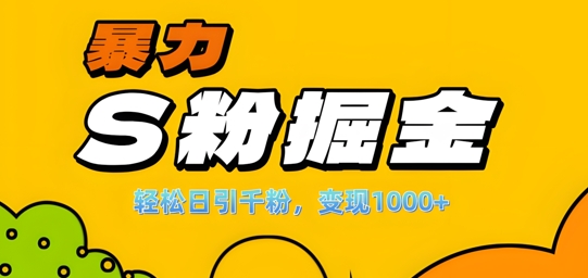 单人单机日引千粉，变现1k+，S粉流量掘金计划攻略【揭秘】-彼飞网创