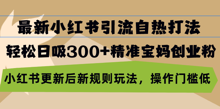 最新小红书引流自热打法，轻松日吸300+精准宝妈创业粉，小红书更新后新…-彼飞网创