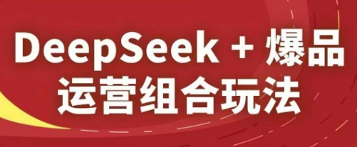 DeepSeek+爆品运营组合玩法，2025淘系精品课-彼飞网创