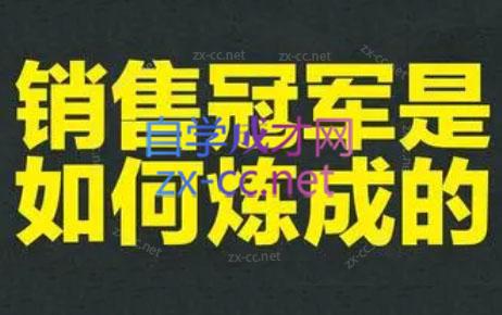 林林老师·成为外贸销售冠军课-彼飞网创
