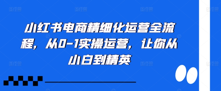 小红书电商精细化运营全流程，从0-1实操运营，让你从小白到精英-彼飞网创