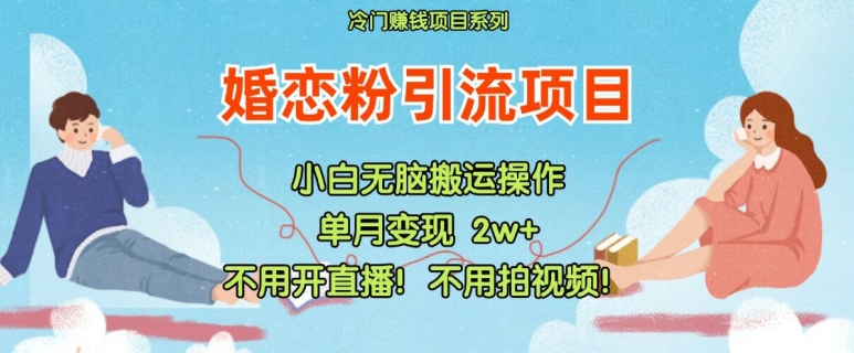 小红书婚恋粉引流，不用开直播，不用拍视频，不用做交付【揭秘】-彼飞网创