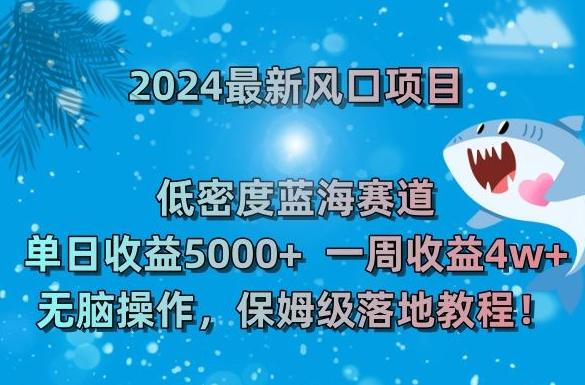 2024最新风口项目，低密度蓝海赛道，单日收益5000+，一周收益4w+！【揭秘】-彼飞网创
