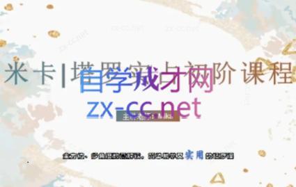 米卡·实占塔罗初阶课-彼飞网创