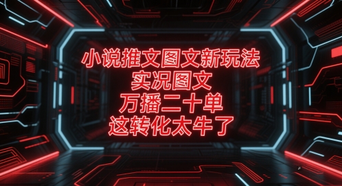 小说推文图文新玩法，实况图文，万播二十单，这转化太牛了！-彼飞网创