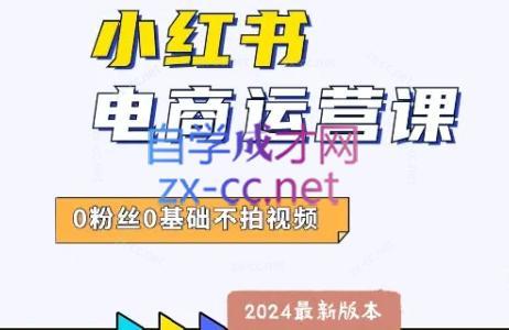 达哥·小红书电商运营(2024版)-彼飞网创