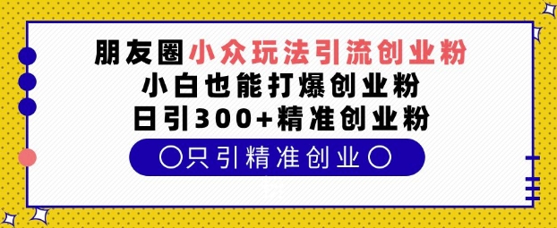 朋友圈小众玩法引流创业粉，小白也能打爆创业粉，日引300+精准创业粉【揭秘】-彼飞网创