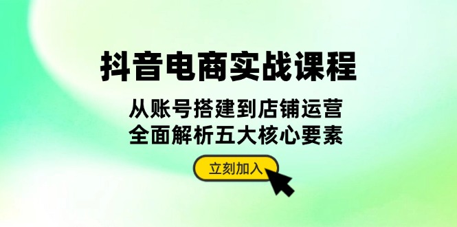 抖音 电商实战课程：从账号搭建到店铺运营，全面解析五大核心要素-彼飞网创