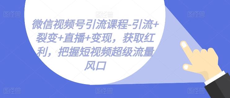 微信视频号引流课程-引流+裂变+直播+变现，获取红利，把握短视频超级流量风口-彼飞网创
