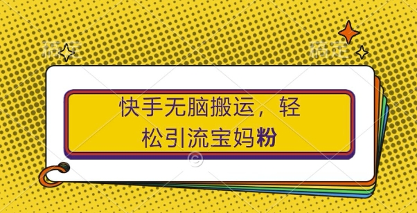 快手无脑搬运，轻松引流宝妈粉，纯小白轻松上手【揭秘】-彼飞网创