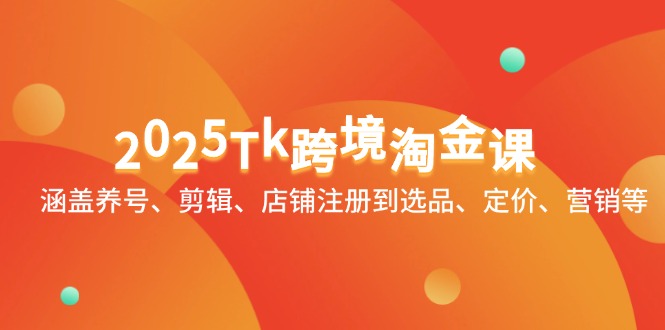 2025Tk跨境淘金课：涵盖养号、剪辑、店铺注册到选品、定价、营销等-彼飞网创