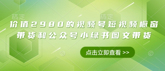 价值2980的视频号短视频橱窗带货和公众号小绿书图文带货-彼飞网创