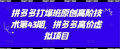 拼多多打爆班原创高阶技术第43期，拼多多高价虚拟项目-彼飞网创