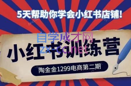陶金金·小红书训练营(第二期)-彼飞网创