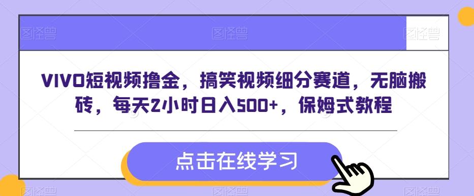 VIVO短视频撸金，搞笑视频细分赛道，无脑搬砖，每天2小时日入500+，保姆式教程-彼飞网创