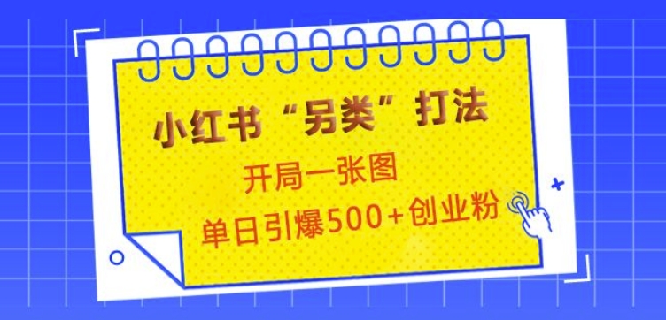 小红书“另类”打法，开局一张图，单日引爆500+精准创业粉【揭秘】-彼飞网创