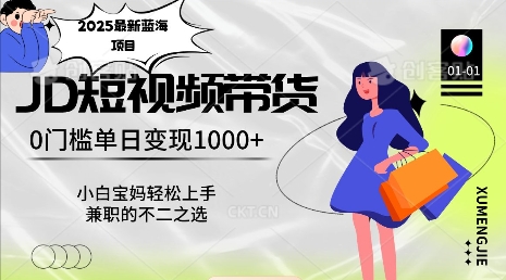 2025最新蓝海项目，0门槛日入1k，小白宝妈轻松上手【仅揭秘】-彼飞网创