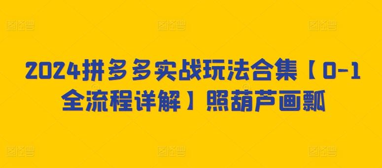 2024拼多多实战玩法合集【0-1全流程详解】照葫芦画瓢-彼飞网创