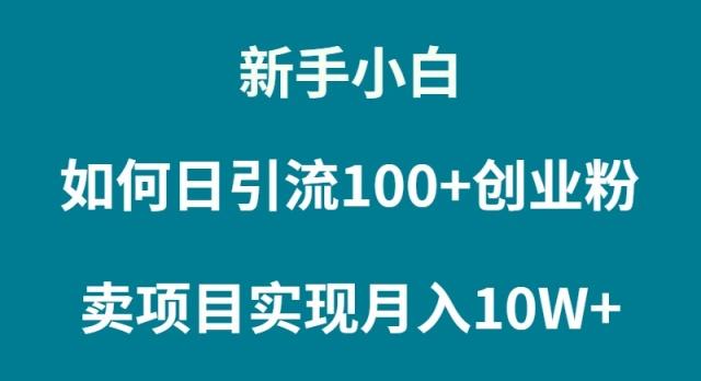 (9556期)新手小白如何通过卖项目实现月入10W+-彼飞网创
