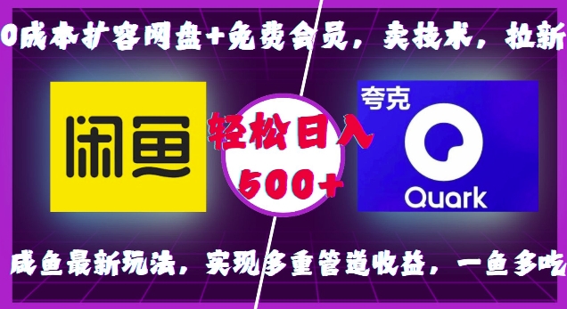 0成本扩容网盘+免费会员，卖技术，拉新，咸鱼最新玩法，实现多重管道收益，一鱼多吃，轻松日入500+-彼飞网创