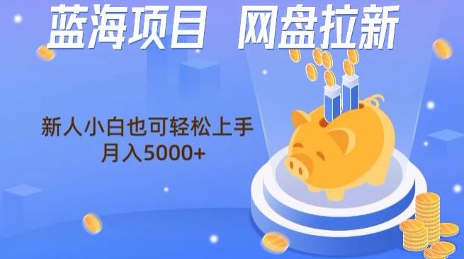 蓝海项目网盘拉新，新人小白也可操作，每月收入5000+-彼飞网创