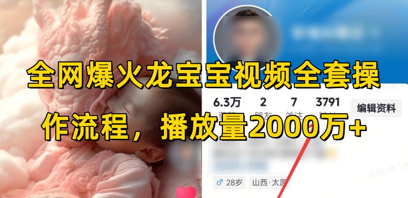 全网爆火龙宝宝视频全套操作流程，播放量2000万+-彼飞网创