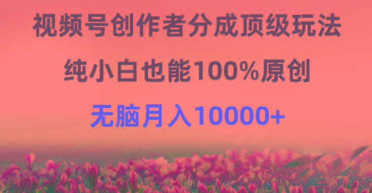 (9608期)视频号创作者分成顶级玩法，纯小白也能100%原创，无脑月入10000+-彼飞网创