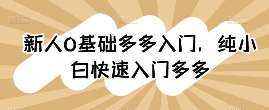 新人0基础多多入门，​纯小白快速入门多多-彼飞网创