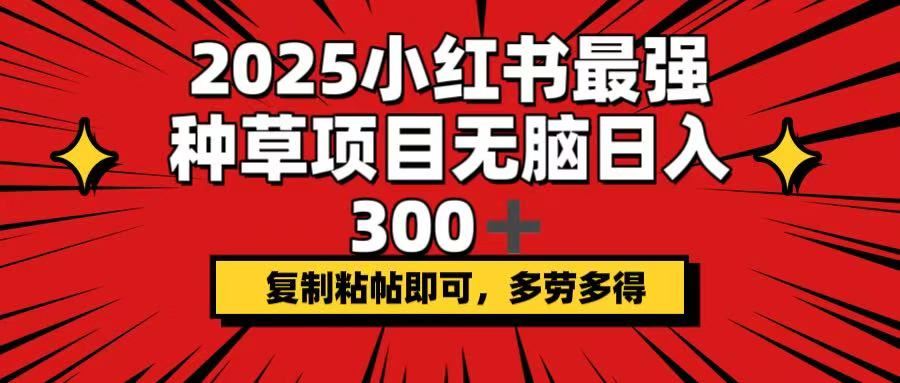 2025小红书最强种草项目，无脑日入300+，复制粘帖即可，多劳多得-彼飞网创