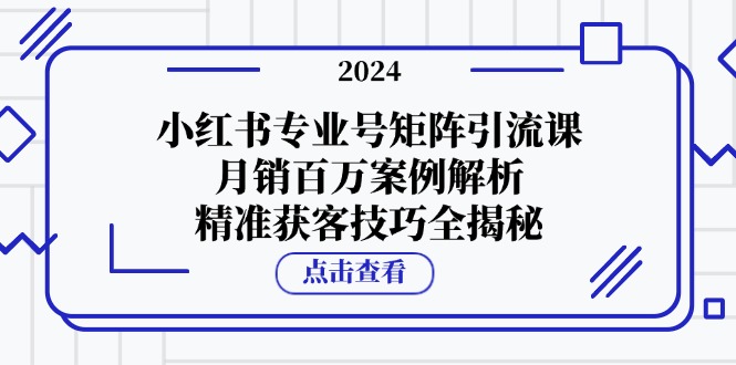 小红书专业号矩阵引流课，月销百万案例解析，精准获客技巧全揭秘-彼飞网创
