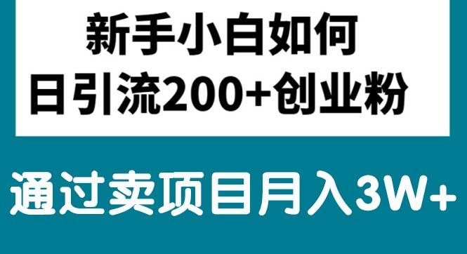 新手小白日引流200+创业粉,通过卖项目月入3W+-彼飞网创