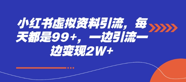小红书虚拟资料引流，每天都是99+，一边引流一边变现2W+-彼飞网创