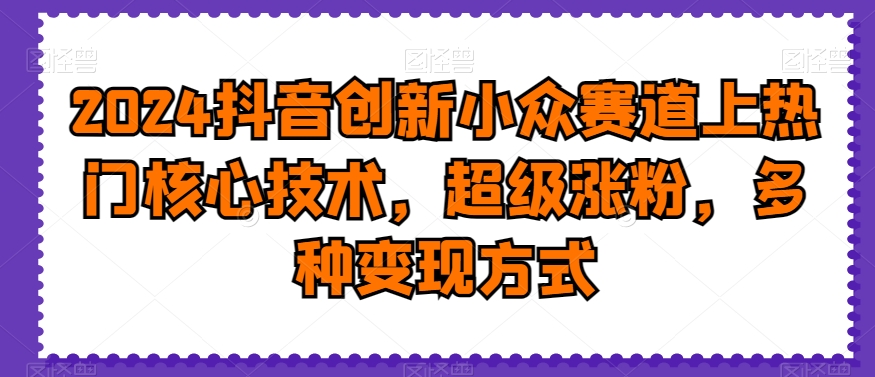 2024抖音创新小众赛道上热门核心技术，超级涨粉，多种变现方式【揭秘】-彼飞网创